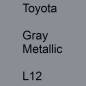 Preview: Toyota, Gray Metallic, L12.